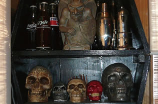 SKULL COLECTION